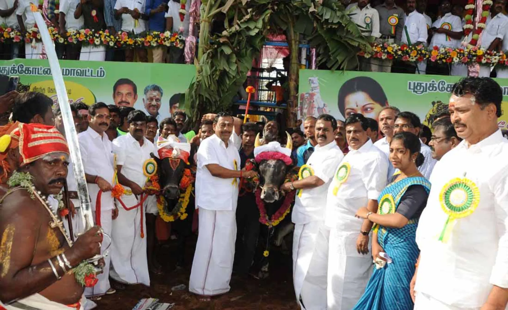 Jallikattu Pudukottai